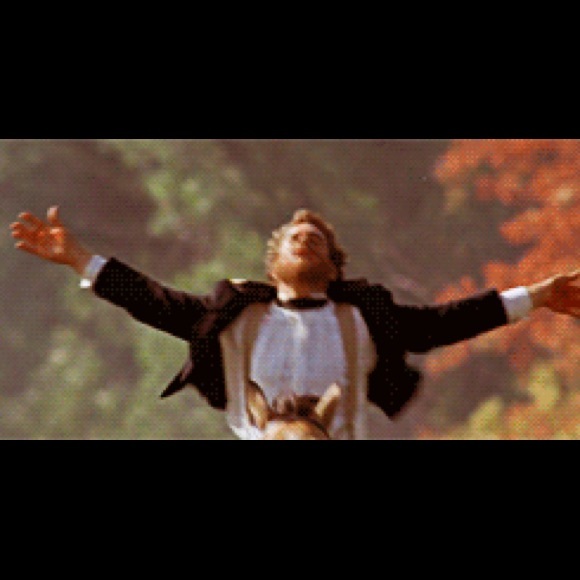 Meet your Posher, Tosh - Picture 1 of 1